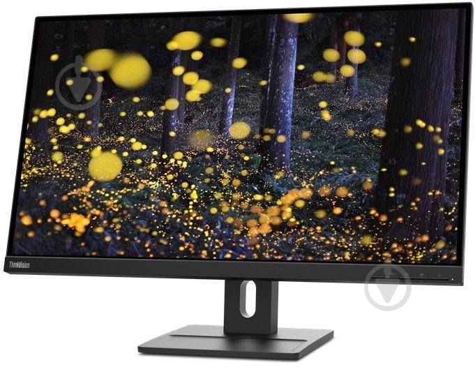 Монитор Lenovo ThinkVision E24q-20 23,8" (62CFGAT1UA) - фото 3