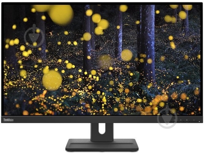 Монитор Lenovo ThinkVision E24q-20 23,8" (62CFGAT1UA) - фото 1