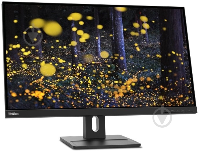 Монитор Lenovo ThinkVision E24q-20 23,8" (62CFGAT1UA) - фото 2