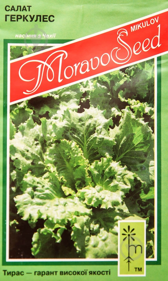 Семена салат Геркулес 0,8 г MoravoSeeds - фото 1 Семена салат Геркулес 0,8 г MoravoSeeds - фото 1