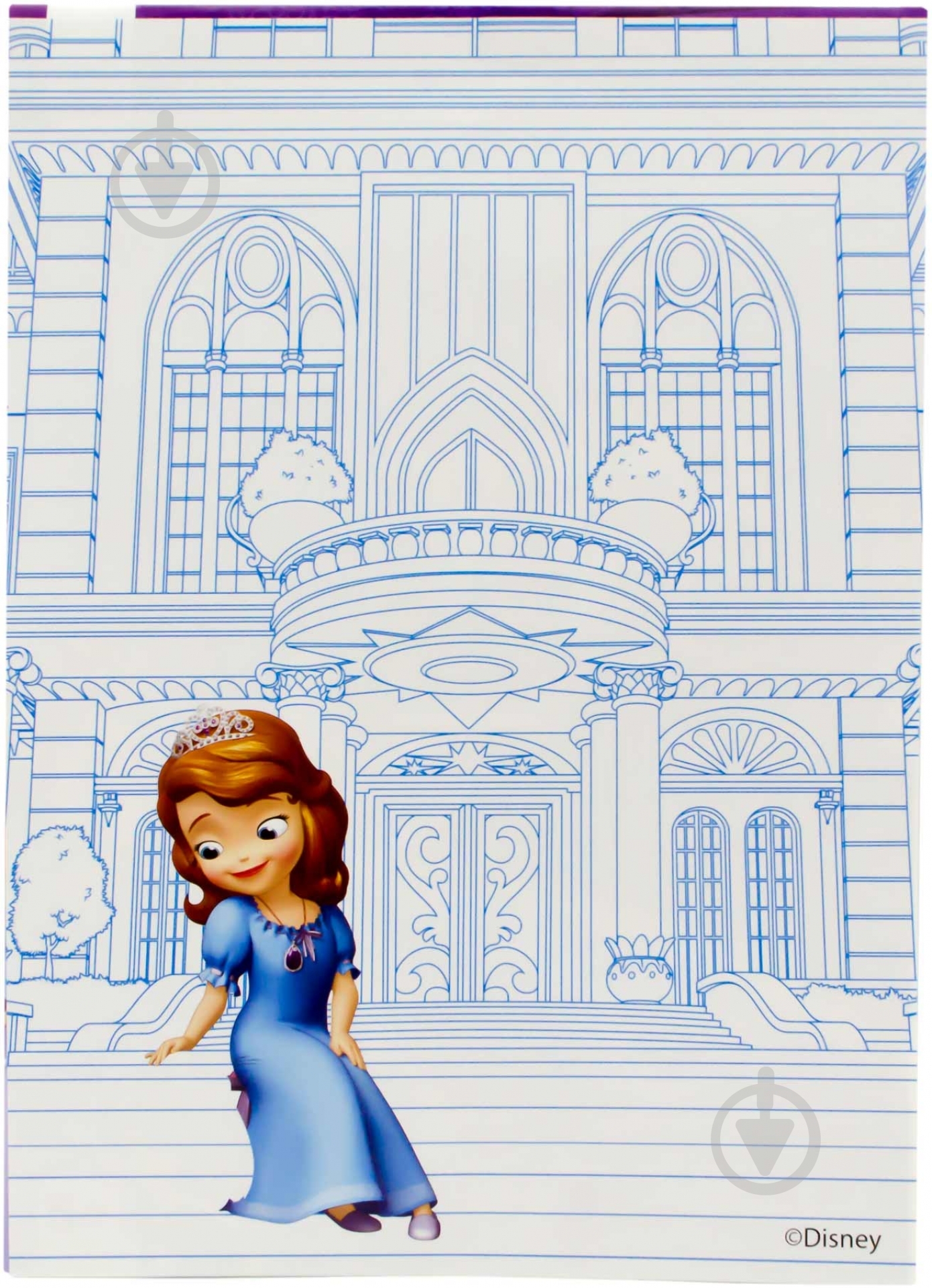 Книга Конопленко И.И.  «Софія та замки» 978-966-746-762-3 - фото 2