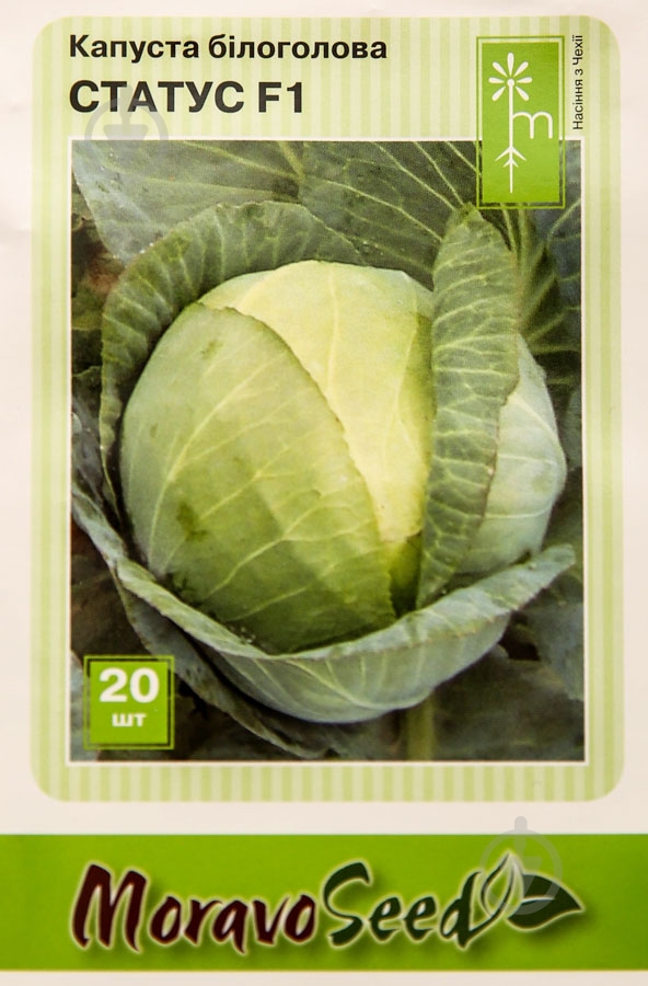 Насіння MoravoSeeds капуста білоголова Статус F1 20 шт. (4820163683560) - фото 1