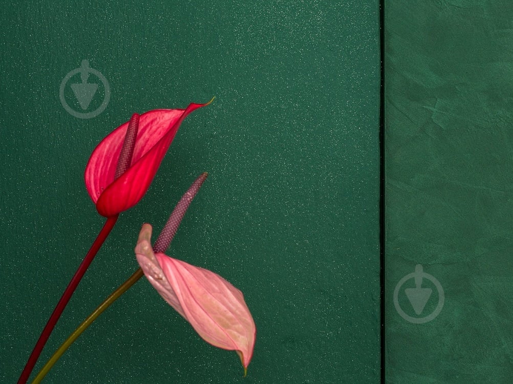 Глиттер Caparol Capadecor Diamоnds 75 г серебристый - фото 3