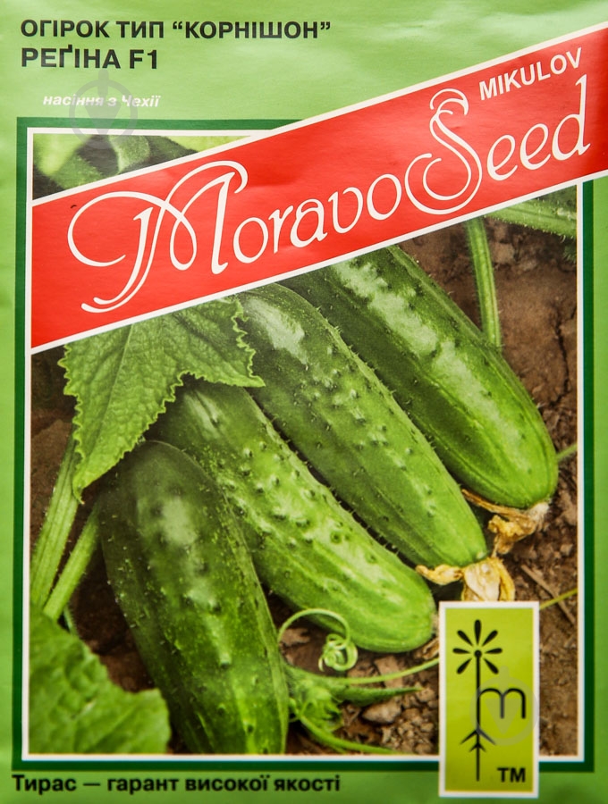 Семена огурец Регина F1 10 г MoravoSeeds - фото 1