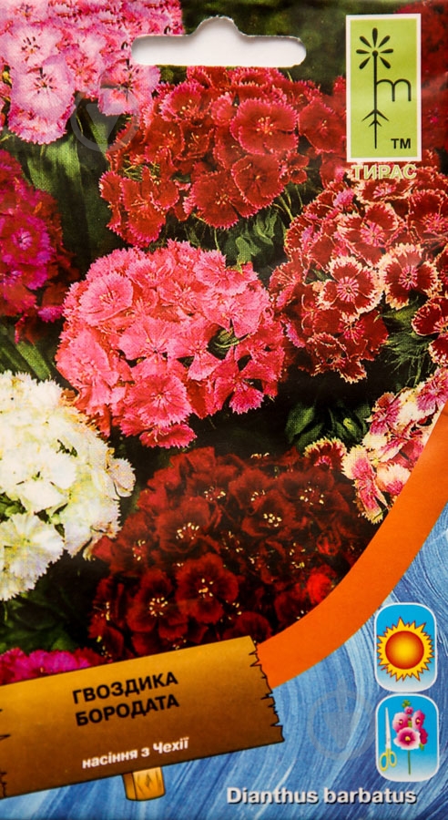 Семена MoravoSeeds гвоздика бородатая бородатая 0,3 г - фото 1 Семена MoravoSeeds гвоздика бородатая бородатая 0,3 г - фото 1