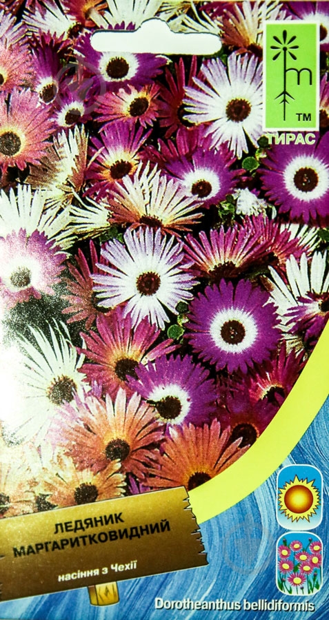 Семена MoravoSeeds доротеантус 0,3 г - фото 1 Семена MoravoSeeds доротеантус 0,3 г - фото 1