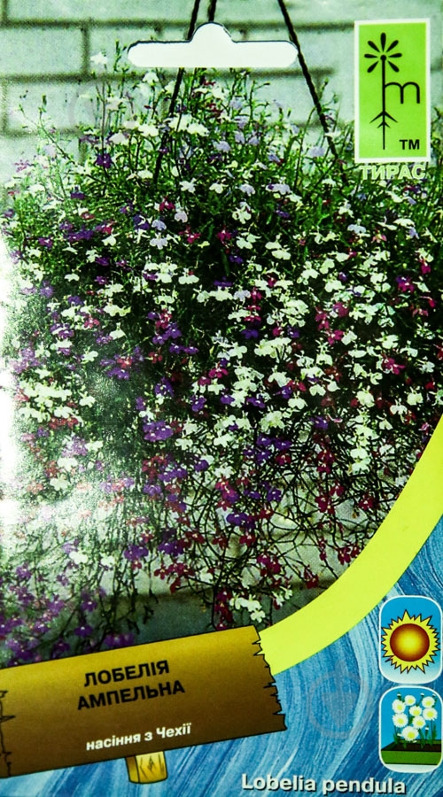 Семена MoravoSeeds лобелия 0,1 г - фото 1 Семена MoravoSeeds лобелия 0,1 г - фото 1