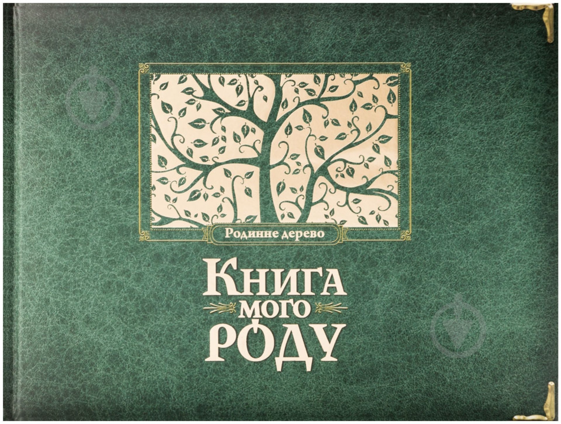 Книга Ирина Мацко «Книга мого роду» 978-966-2909-92-0 - фото 1