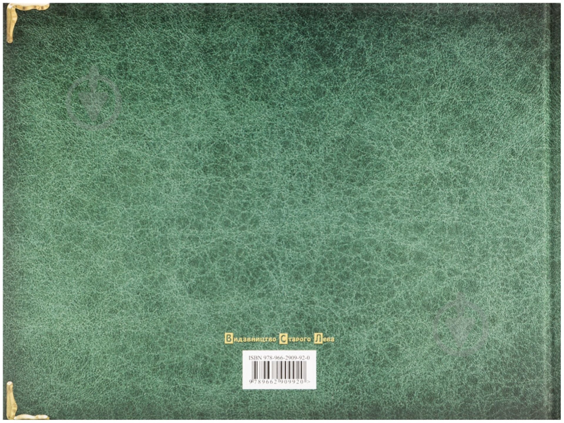 Книга Ирина Мацко «Книга мого роду» 978-966-2909-92-0 - фото 2