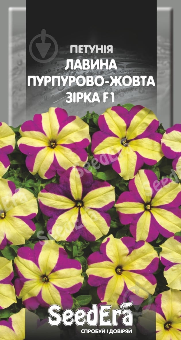SeedEra петуния ампельная Лавина пурпурно-желтая звезда F1 10 шт. - фото 1