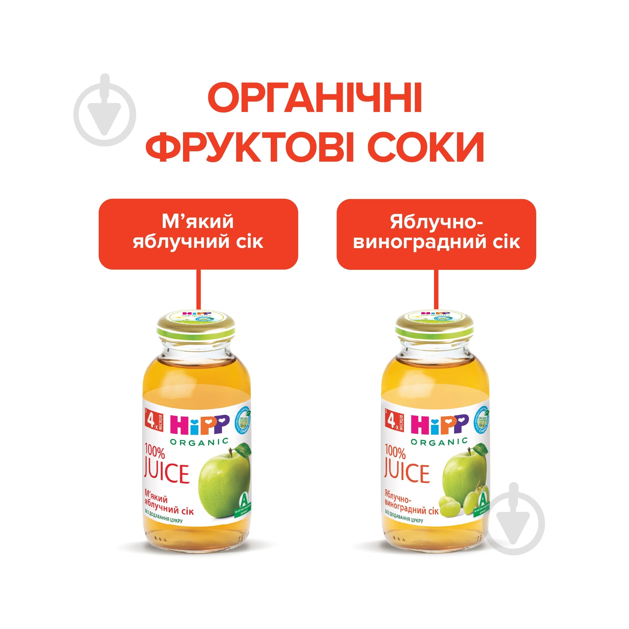 Сок Hipp Яблочно-виноградный 200 мл - фото 7 Сок Hipp Яблочно-виноградный 200 мл - фото 7