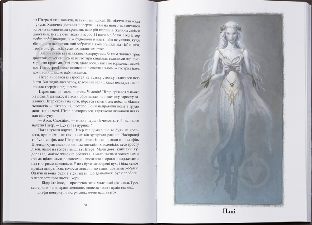 Книга Джеральд Бром «Викрадач дітей» 9786178383893 - фото 3