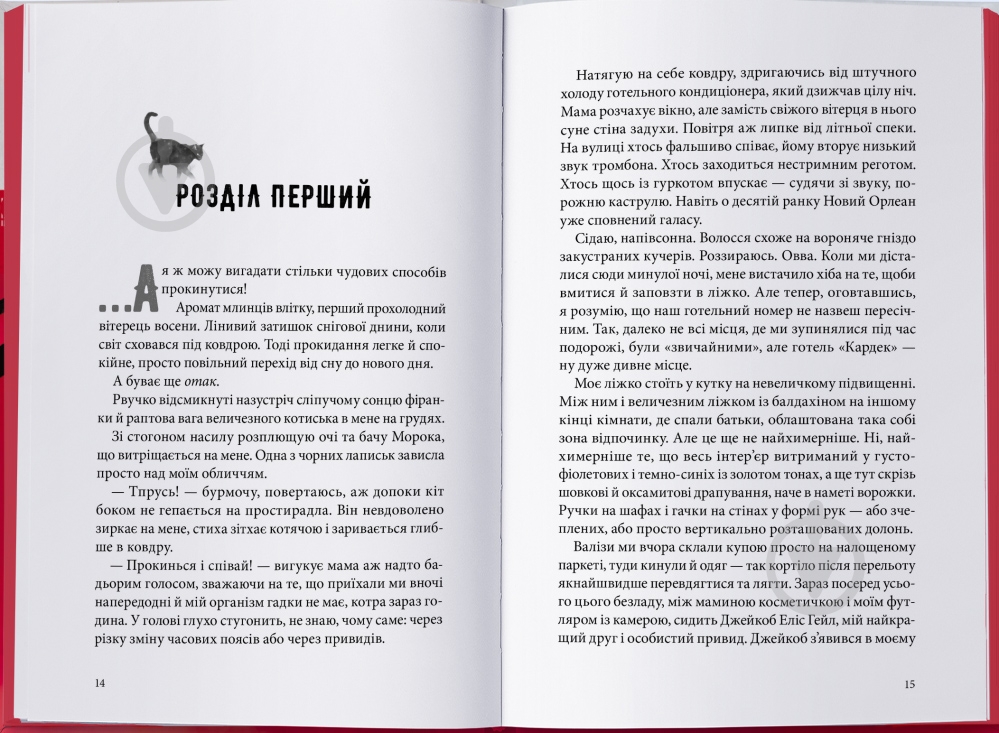Книга Вікторія Шваб «Міст душ» 9786178383961 - фото 2