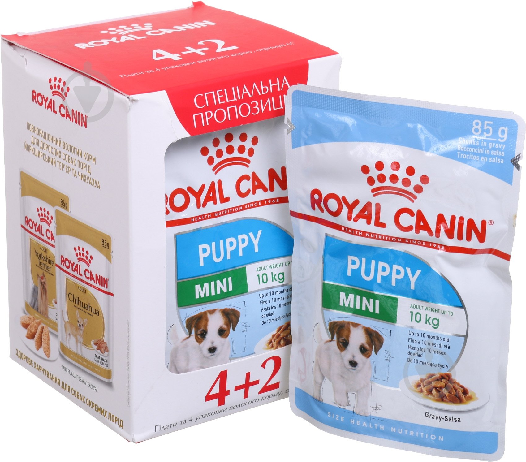 Корм вологий для цуценят для малих порід Royal Canin Mini Puppy 6х85 г 85 г - фото 1 Корм вологий для цуценят для малих порід Royal Canin Mini Puppy 6х85 г 85 г - фото 1