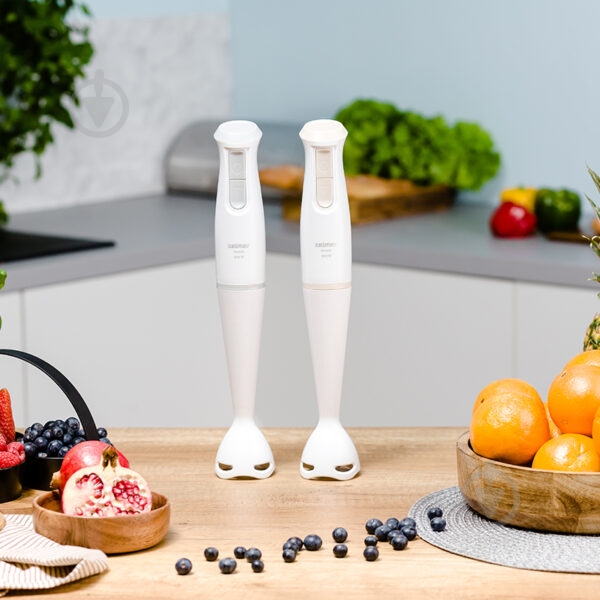 Блендер погружной Zelmer ZHB4560S - фото 5