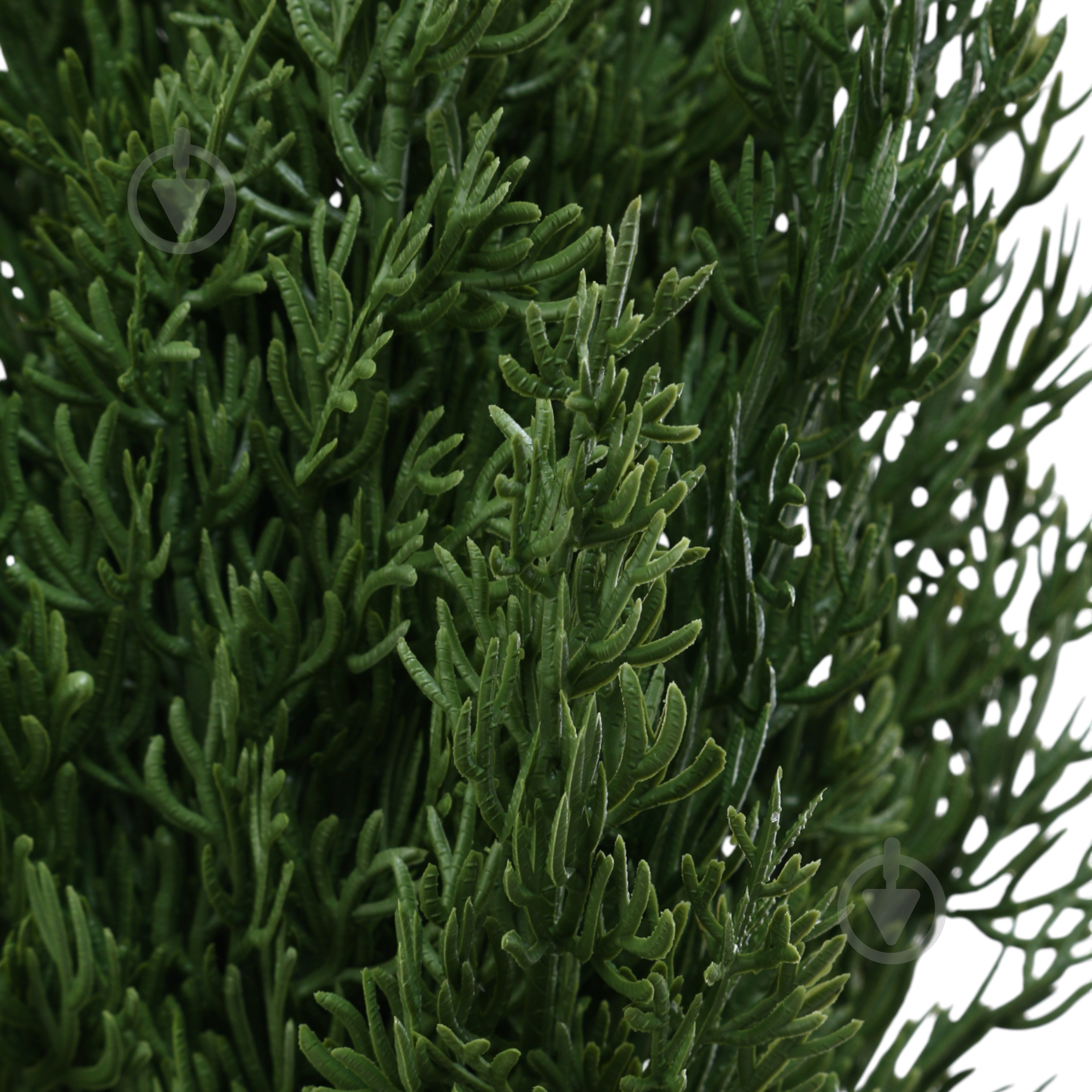 Растение искусственное елка в горшке пластик 10х55 см Sensio - фото 2 Растение искусственное елка в горшке пластик 10х55 см Sensio - фото 2