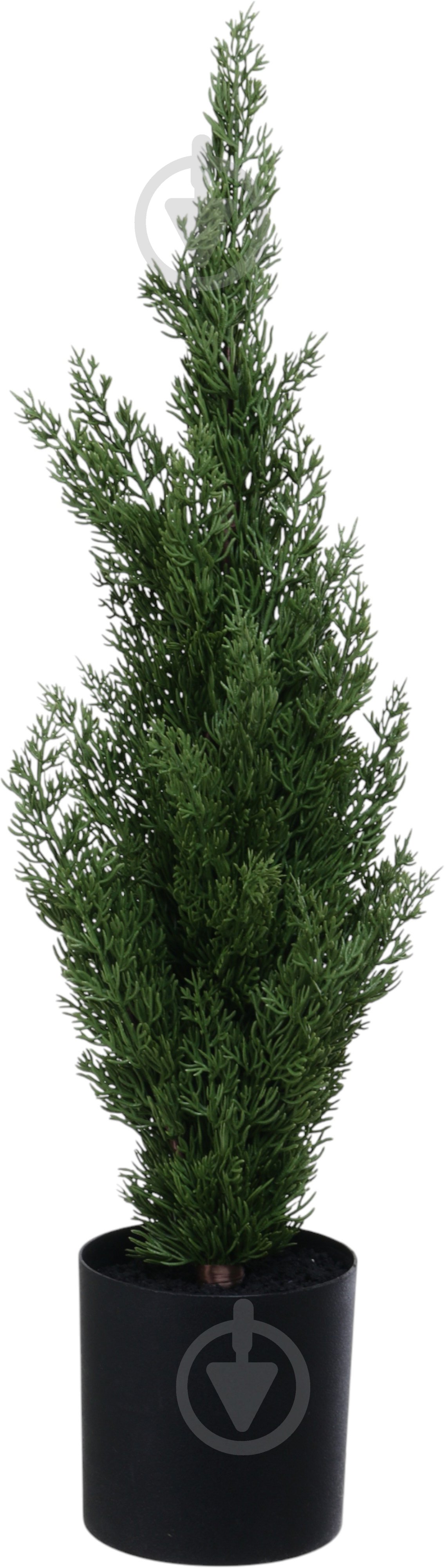 Растение искусственное елка в горшке пластик 12х70 см Sensio - фото 1 Растение искусственное елка в горшке пластик 12х70 см Sensio - фото 1