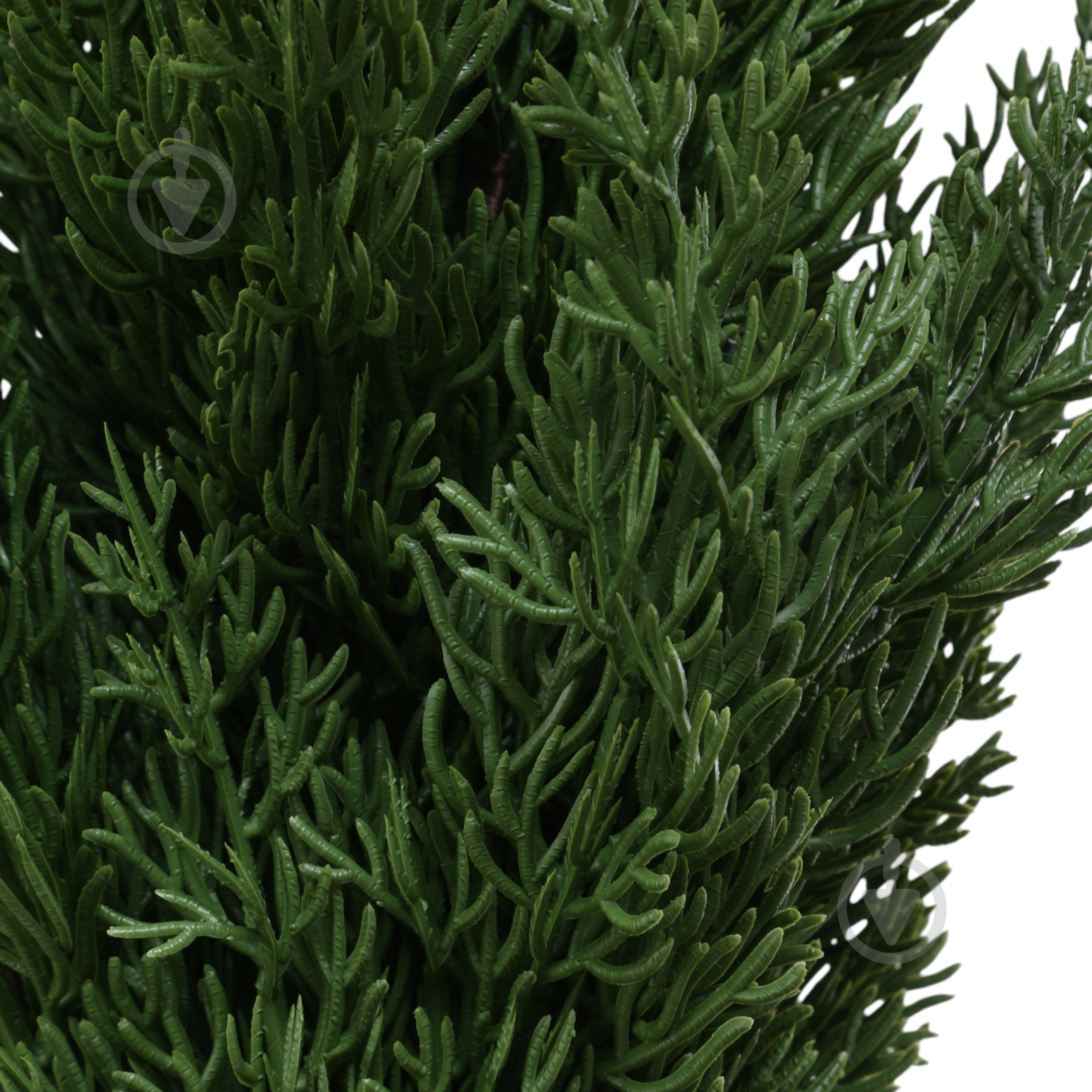 Растение искусственное елка в горшке пластик 12х70 см Sensio - фото 2 Растение искусственное елка в горшке пластик 12х70 см Sensio - фото 2