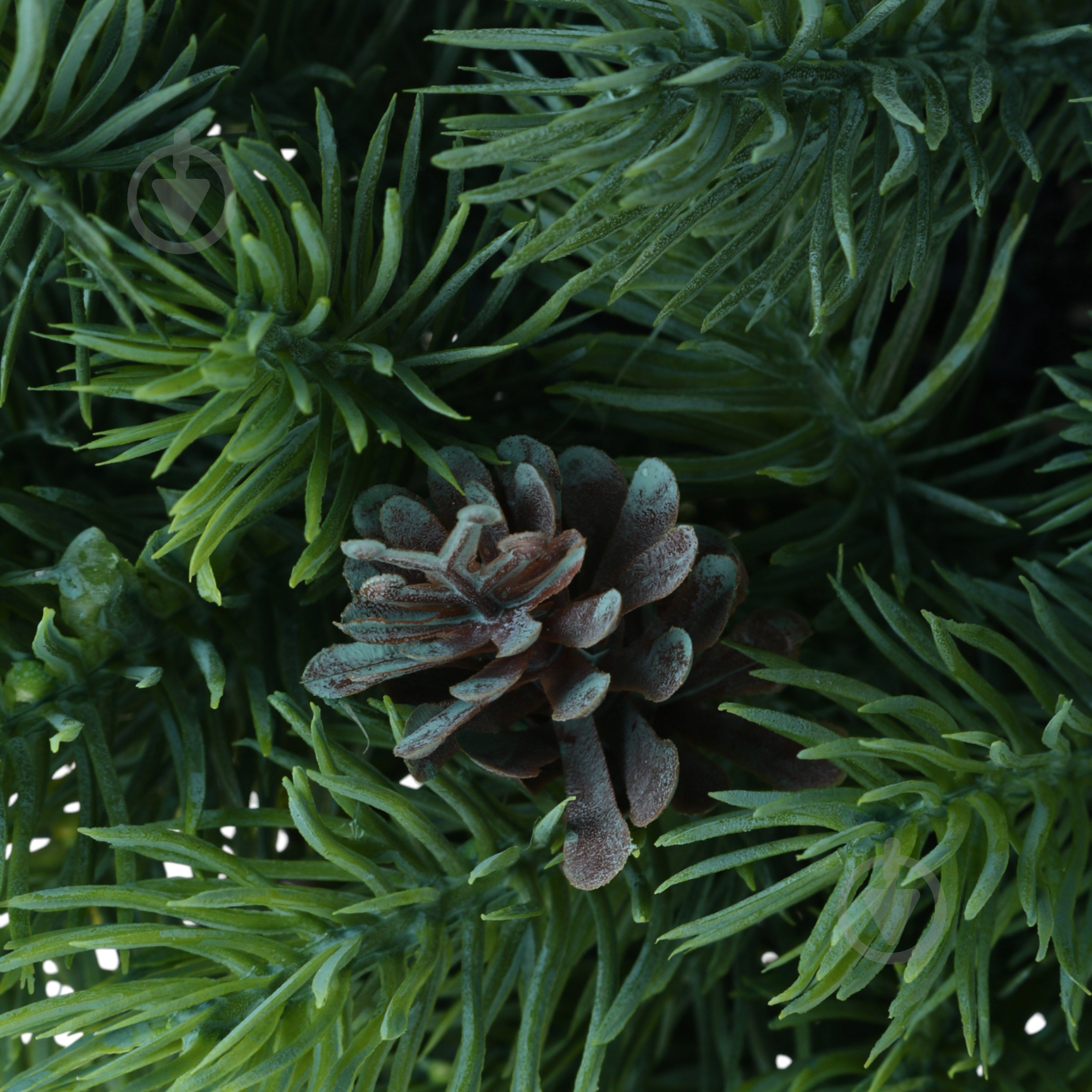 Растение искусственное елка в гипсовом горшке 10х28 см Sensio - фото 2 Растение искусственное елка в гипсовом горшке 10х28 см Sensio - фото 2