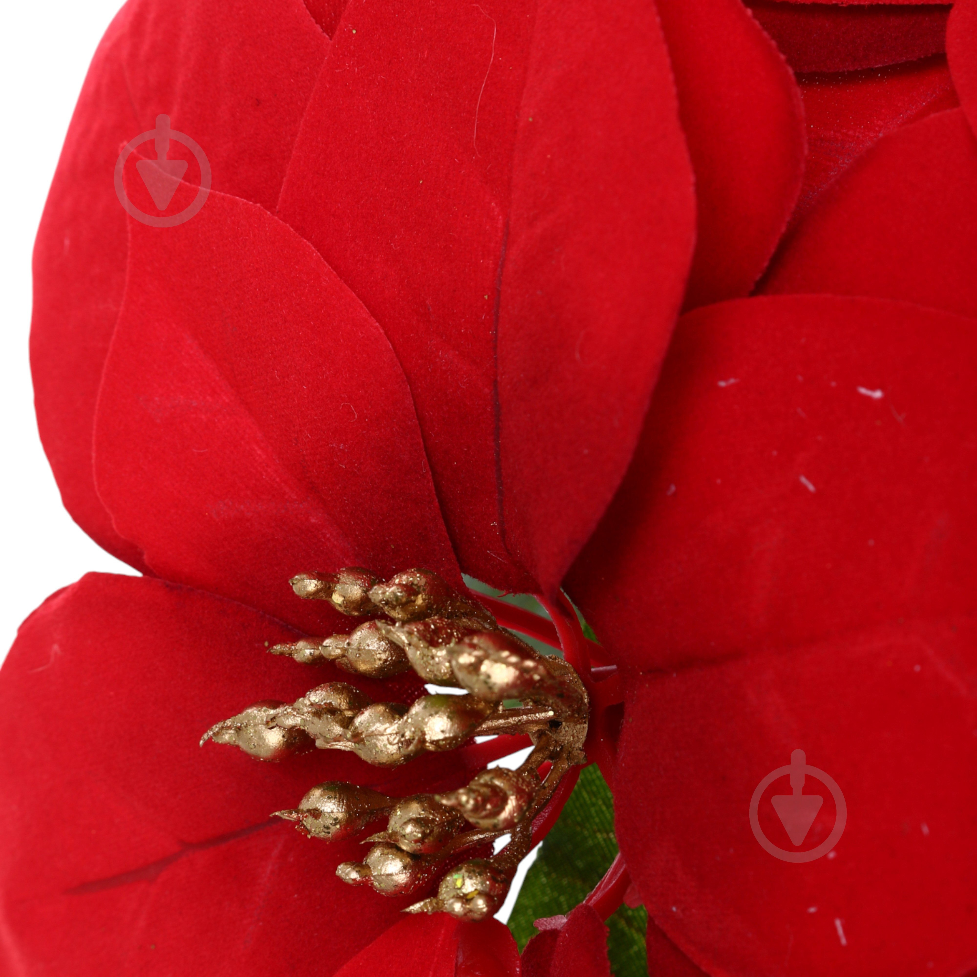 Растение искусственное пуансетия в льняном мешочке красный 11х32 см Sensio - фото 2 Растение искусственное пуансетия в льняном мешочке красный 11х32 см Sensio - фото 2