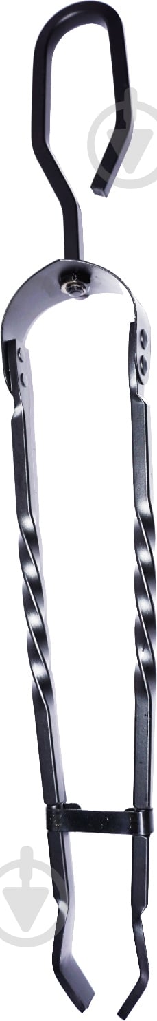 Щипцы Flamma CH023 - фото 1