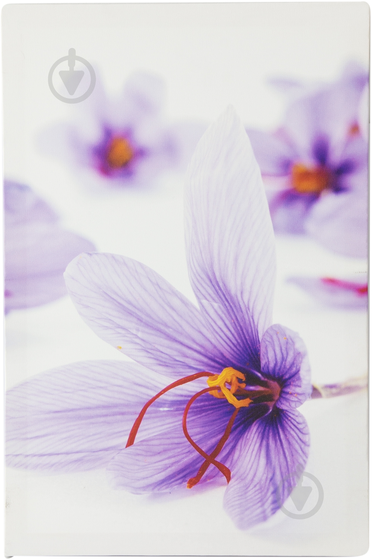 Картина модульная 3 части Крокусы 90x60 см Eclipse МК012 - фото 4 Картина модульная 3 части Крокусы 90x60 см Eclipse МК012 - фото 4