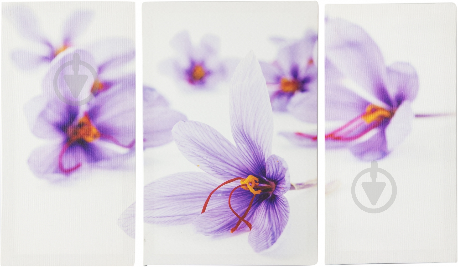 Картина модульная 3 части Крокусы 90x60 см Eclipse МК012 - фото 5 Картина модульная 3 части Крокусы 90x60 см Eclipse МК012 - фото 5