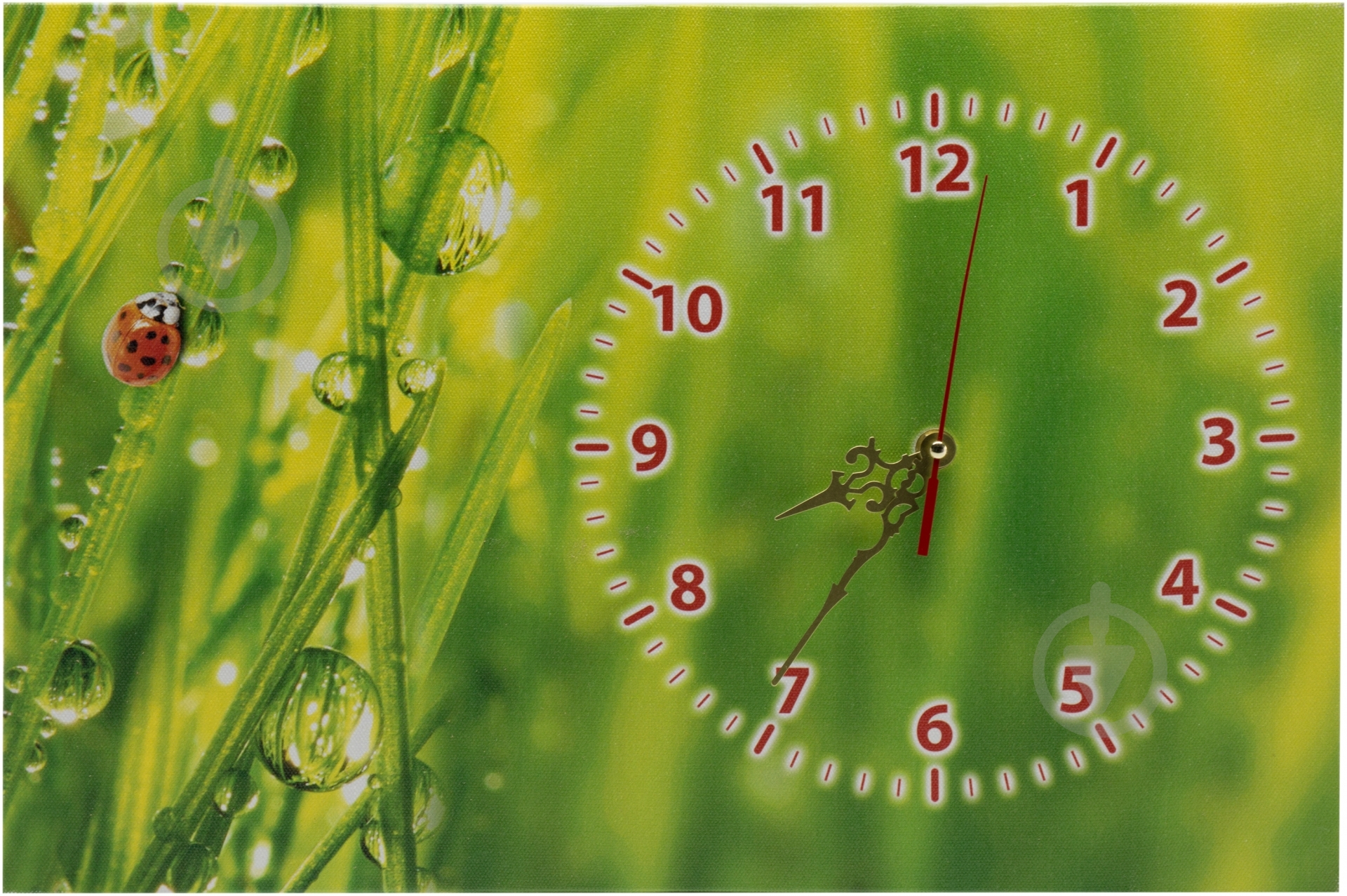 Часы настенные Ч02-023 - фото 1