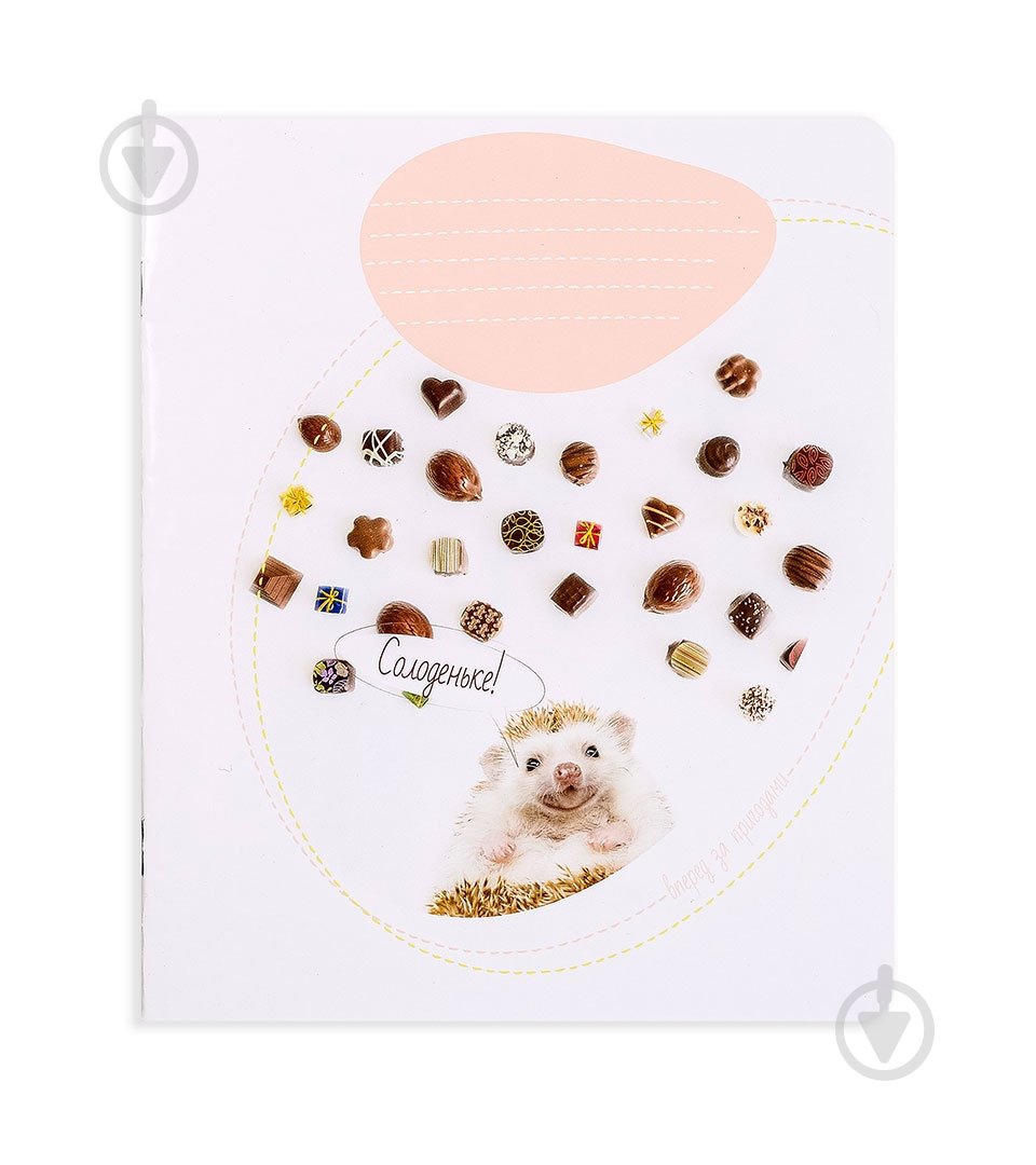 Комплект зошитів Пригоди їжачка 12 аркушів у клітинку 25 шт. Поділля - фото 4