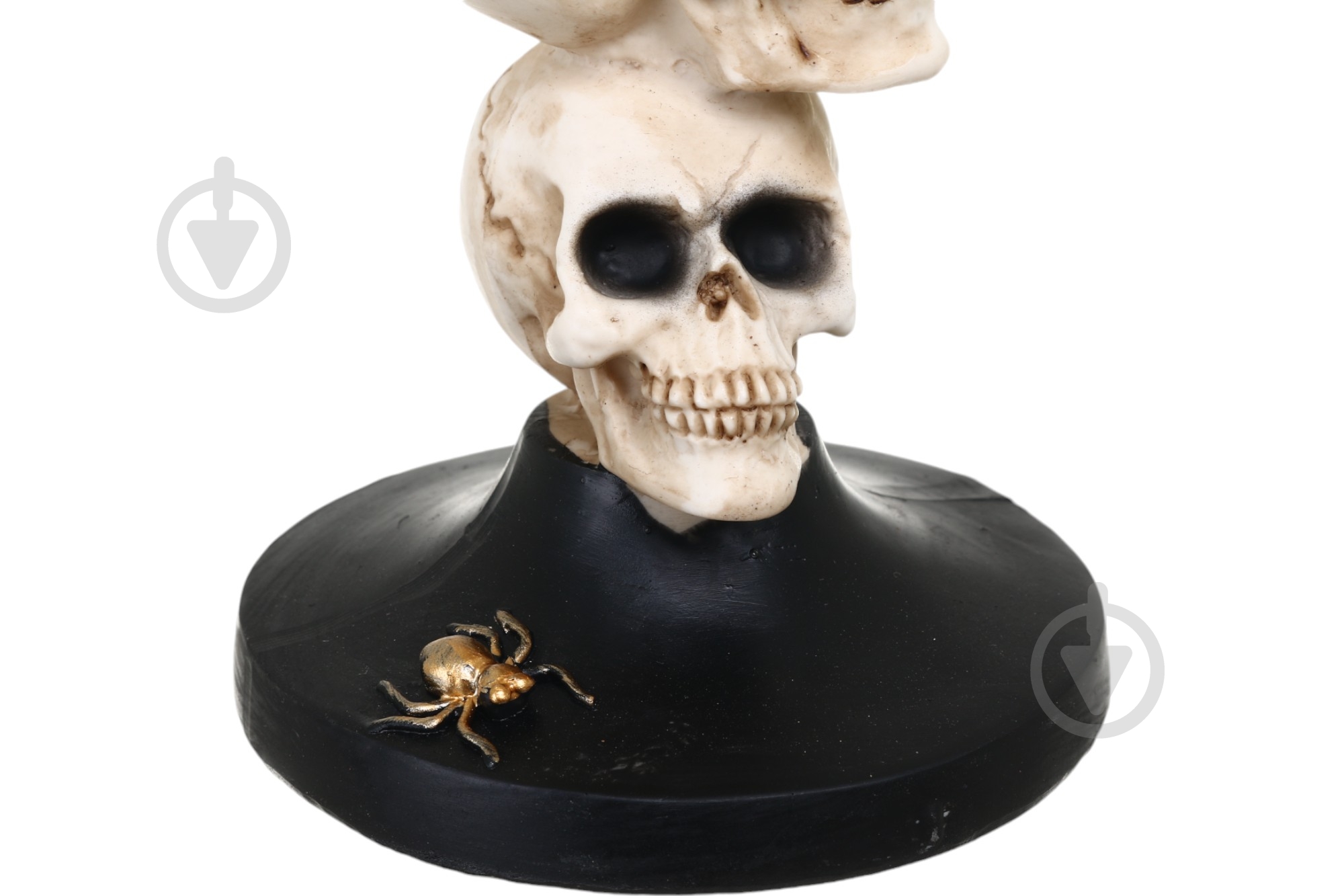 Подсвечник Черепи APF952160 - фото 4