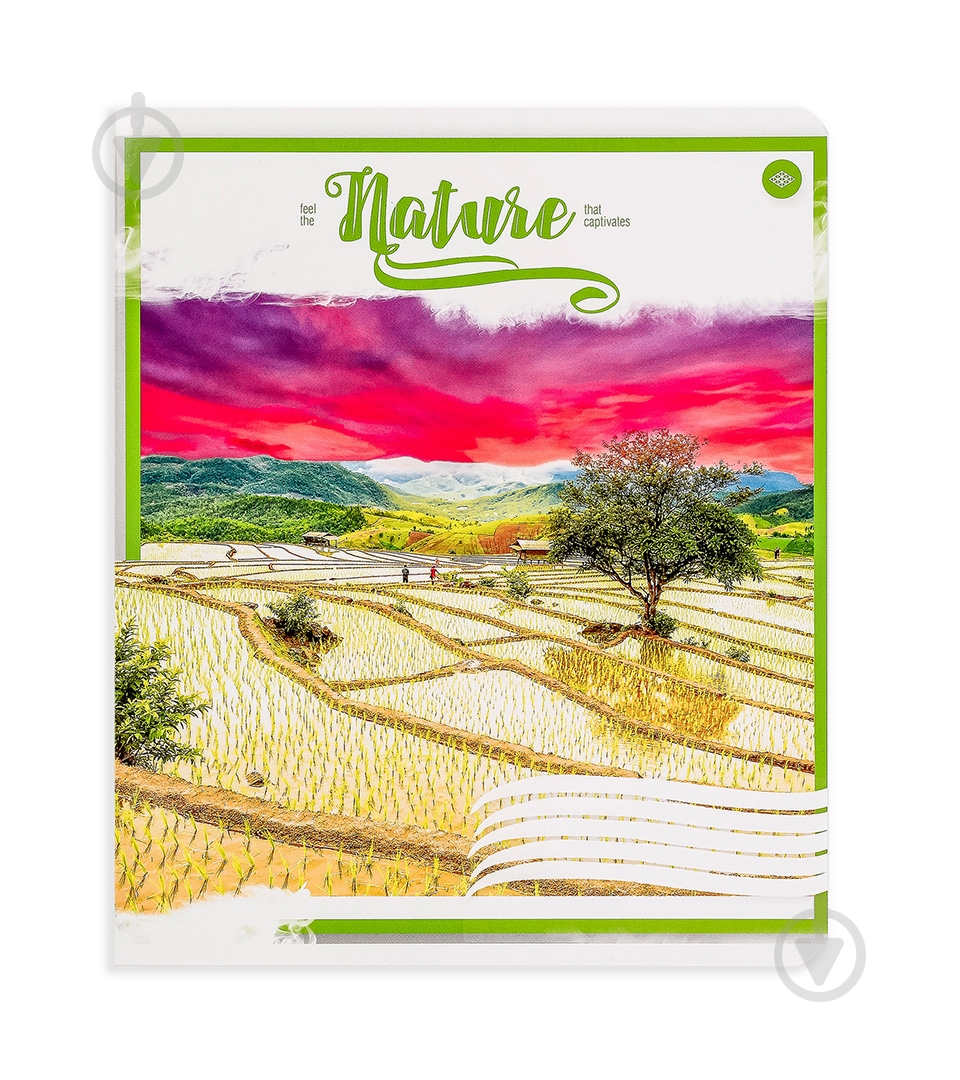 Комплект зошитів Атмосферна природа 24 аркуша в клітку 20 шт. Поділля - фото 4