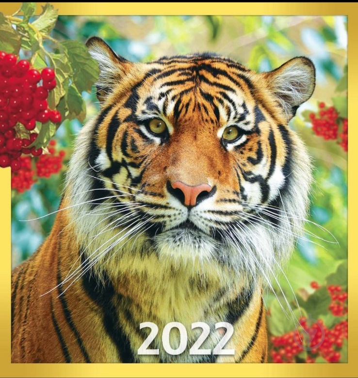 Календар Діана Плюс Рік тигра 2022 - фото 1 Календар Діана Плюс Рік тигра 2022 - фото 1