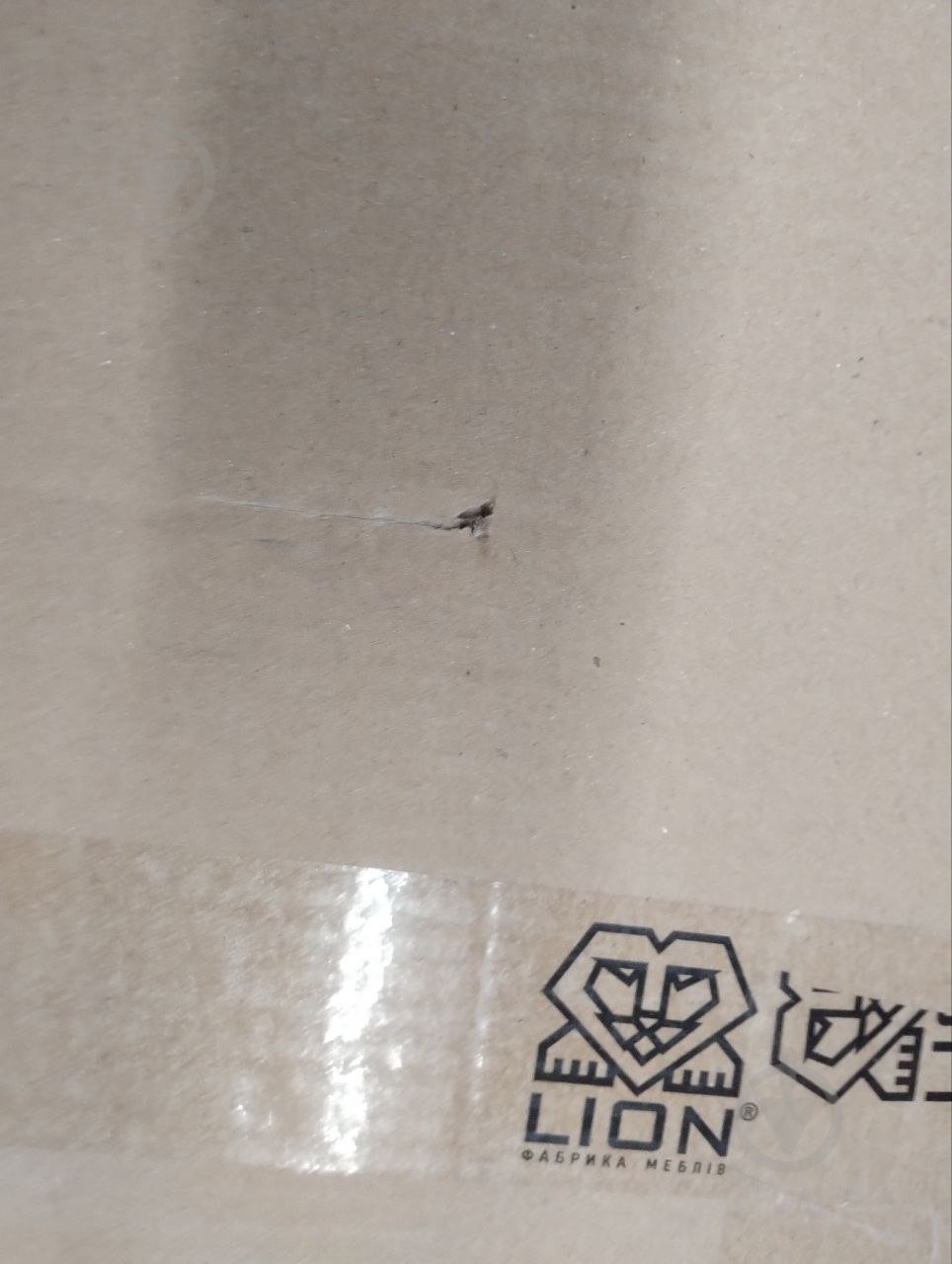 УЦІНКА! Шафа-пенал Lion для книг Бергамо (УЦ №2527) - фото 7