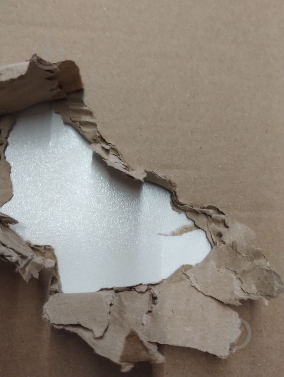 УЦІНКА! Шафа-пенал Lion для книг Бергамо (УЦ №2527) - фото 8