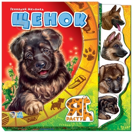 Книга Ринат Курмашев  «Щенок» 978-966-745-097-7 - фото 1