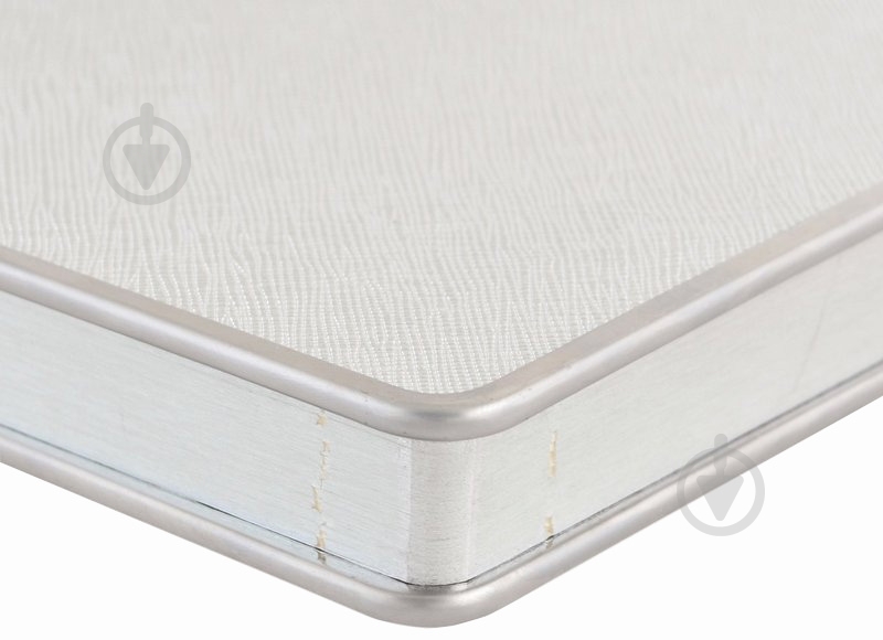 Дневник датированный серебро линия Leo Planner Eclisse A5 251858 - фото 2