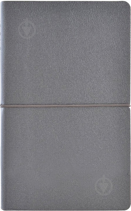Дневник датированный графит линия Leo Planner Gusto A5 251852 - фото 1