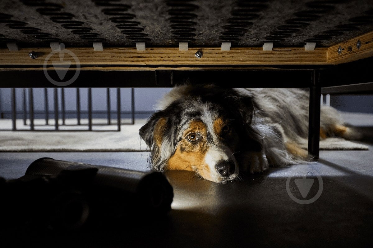 Пылесос аккумуляторный Rowenta X-Force Flex 12.60 Neo Allergy Aqua RH9LC1WO blue - фото 14 Пылесос аккумуляторный Rowenta X-Force Flex 12.60 Neo Allergy Aqua RH9LC1WO blue - фото 14