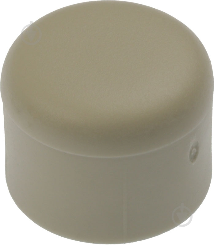 Заглушка Hi-Therm d20 для ПП труб - фото 1