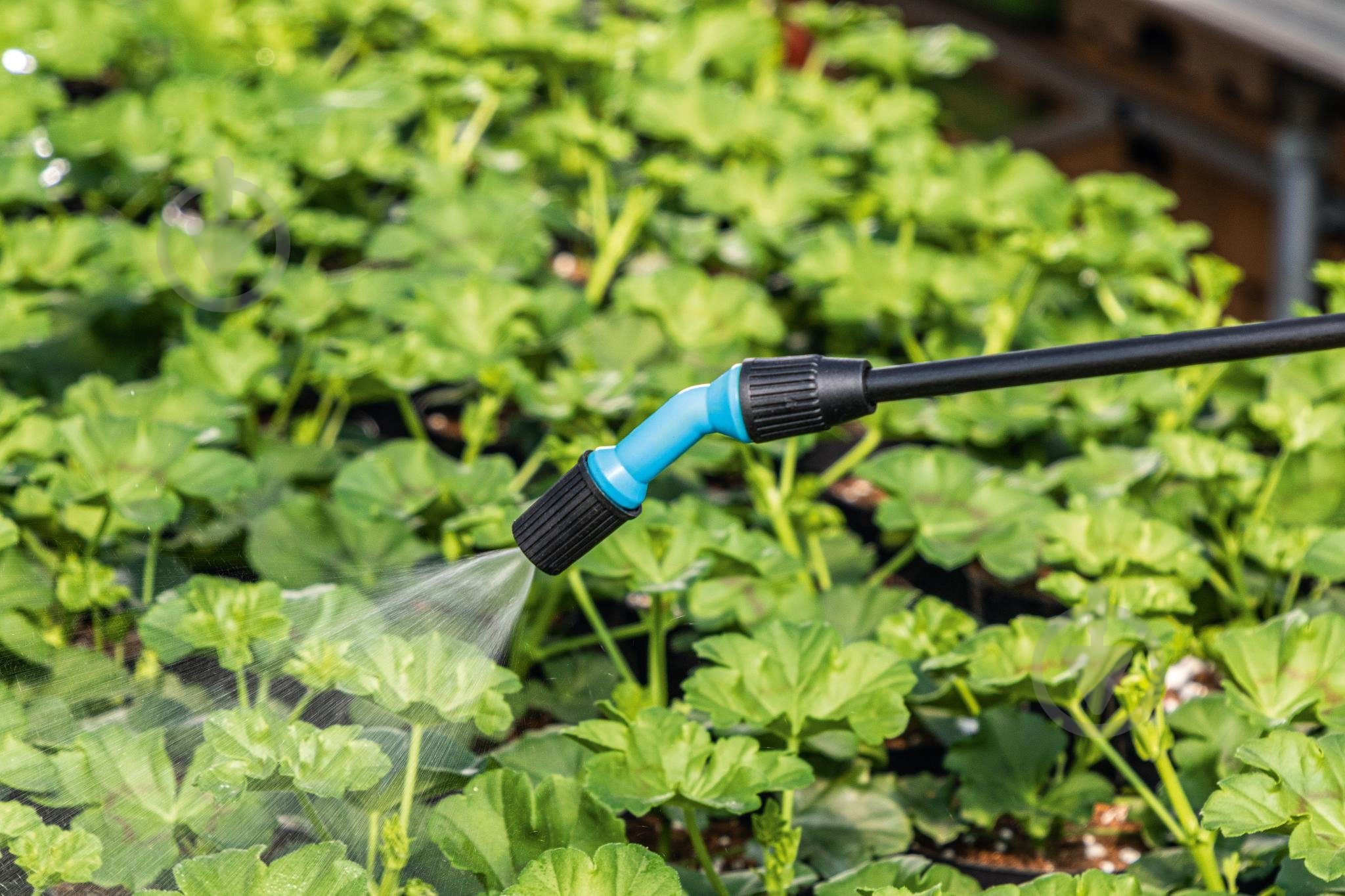 Обприскувач ручний Cellfast (42-217) 5 л - фото 4