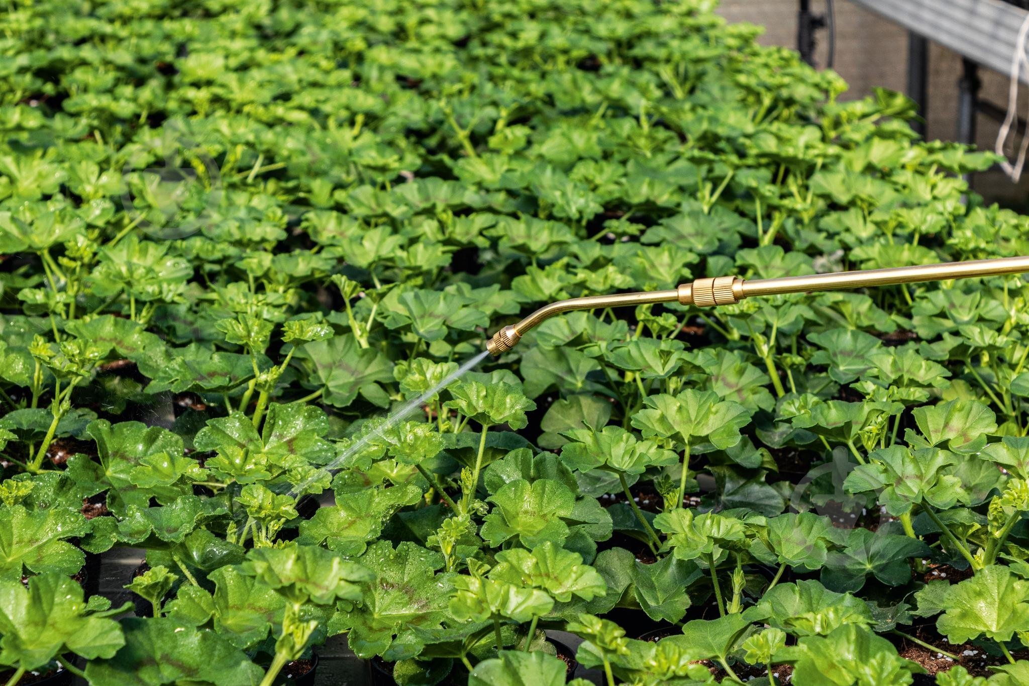 Обприскувач ручний Cellfast (42-217) 5 л - фото 7