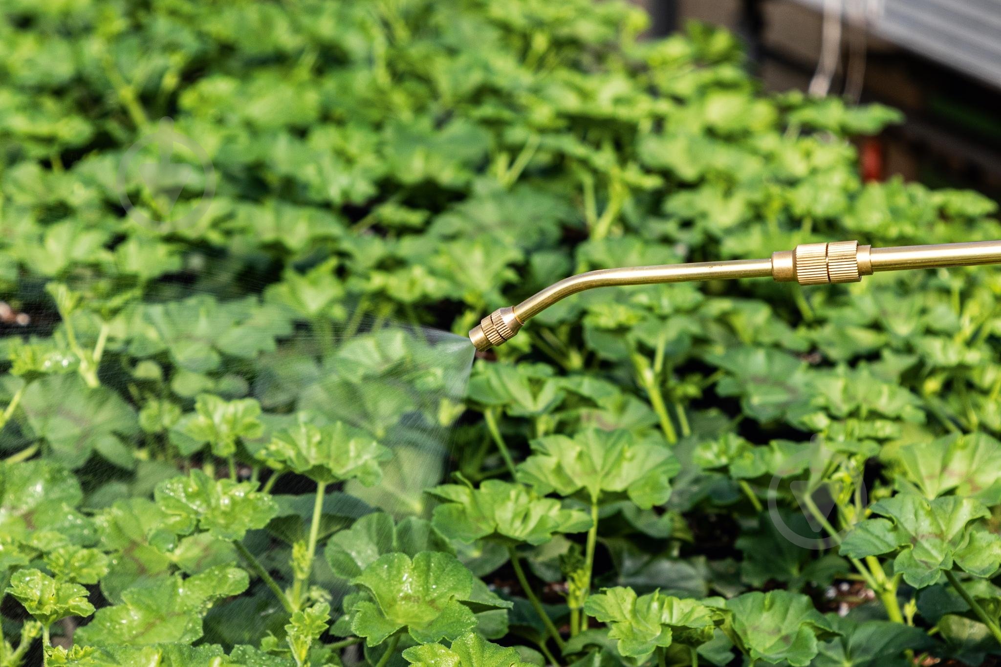 Обприскувач ручний Cellfast (42-217) 5 л - фото 6