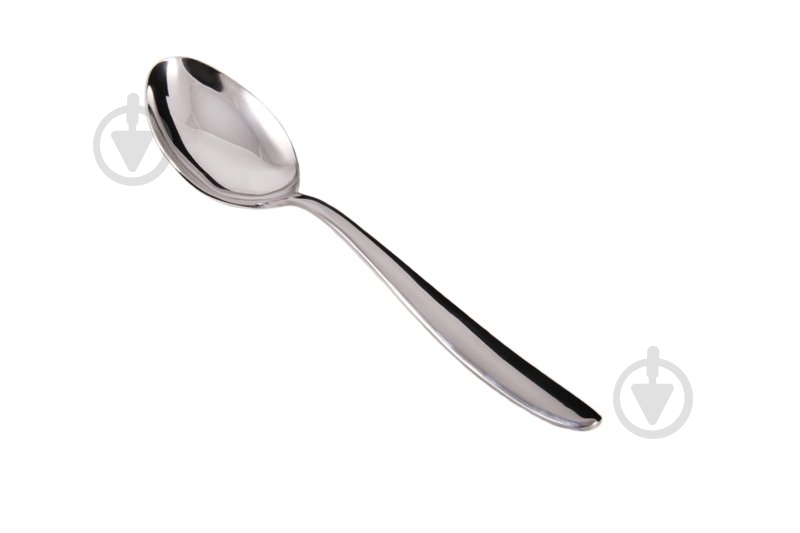 Ложка столовая Salvinelli Fast CTFA - фото 1