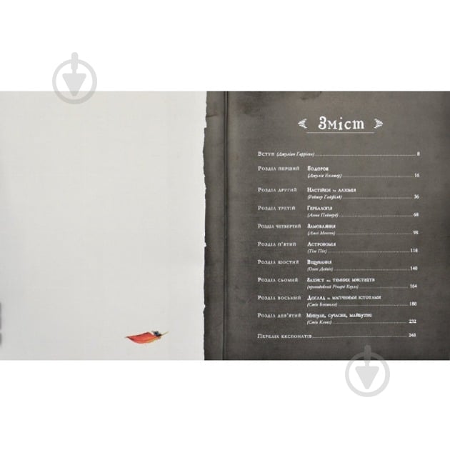 Книга Джоан Роулінг «Гаррі Поттер: Історія магії» 978-617-585-168-5 - фото 5