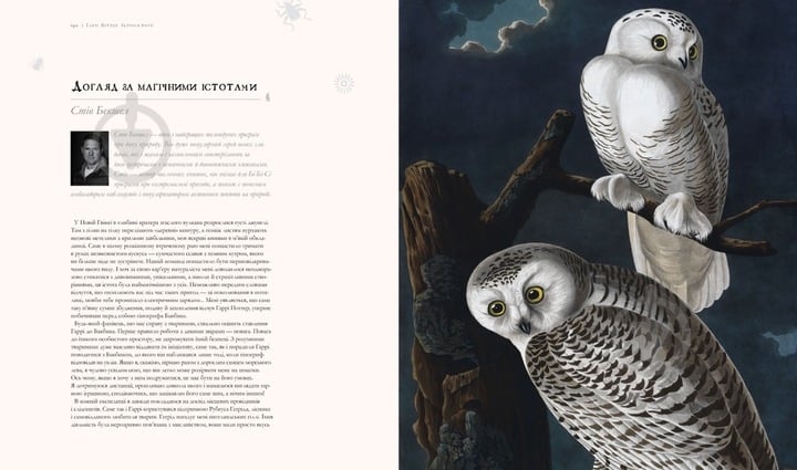 Книга Джоан Роулінг «Гаррі Поттер: Історія магії» 978-617-585-168-5 - фото 4