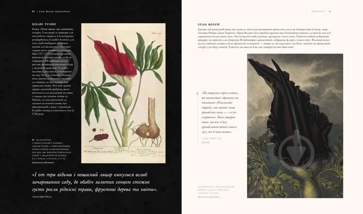 Книга Джоан Роулінг «Гаррі Поттер: Історія магії» 978-617-585-168-5 - фото 3