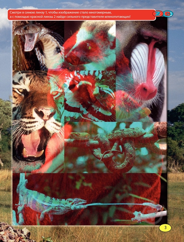 Книга «Невероятные животные» 978-966-14-6921-0 - фото 5