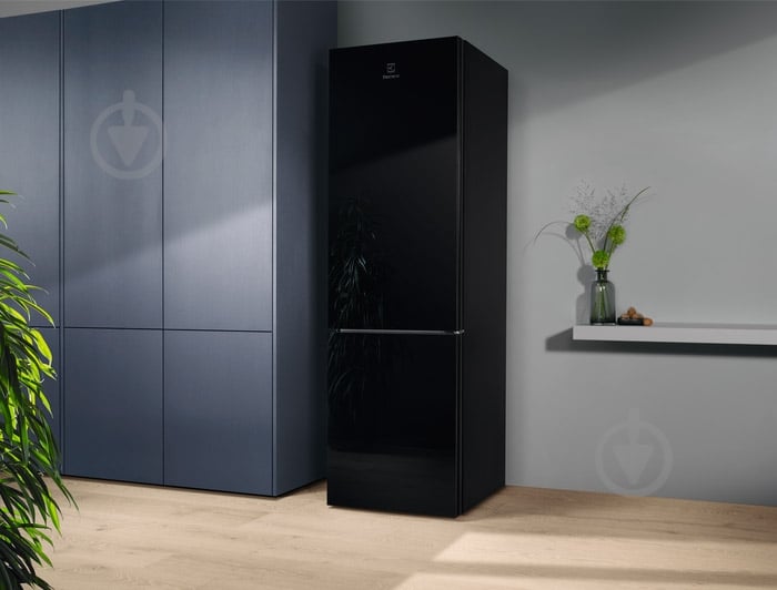 Холодильник Electrolux RNT7ME34K1 - фото 12