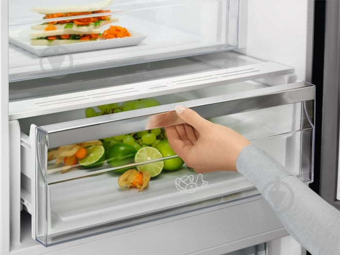 Холодильник Electrolux RNT7ME34K1 - фото 10