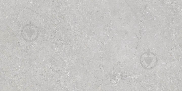 Плитка Emigres VARSOVIA XL GRIS 60×120 - фото 1 Плитка Emigres VARSOVIA XL GRIS 60×120 - фото 1